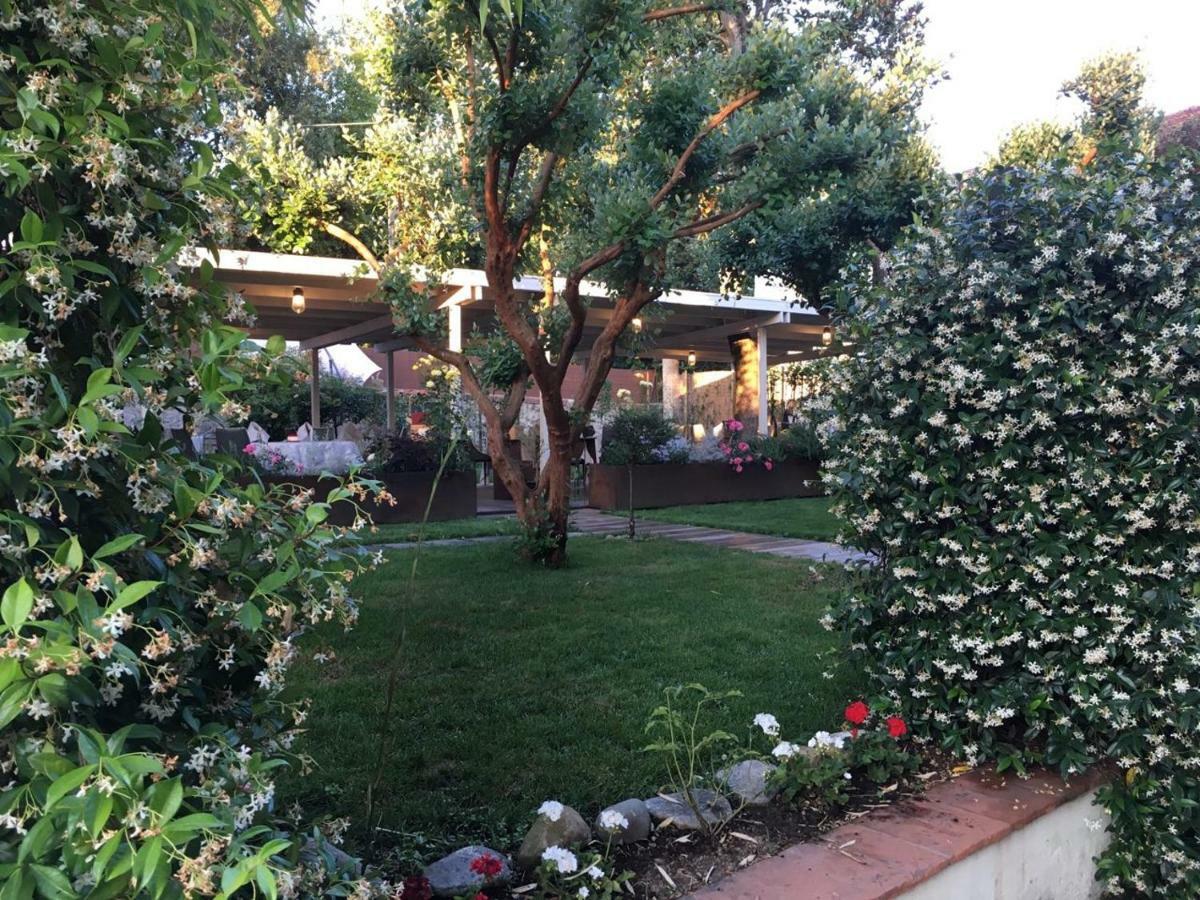 Locanda Del Pesce Briaco, B&B لوكا المظهر الخارجي الصورة